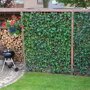 Hedera hibernica, op gaaspanalen een jaar later